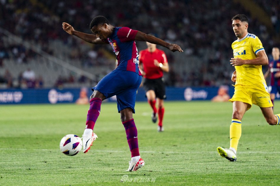 因此这项规 因此这项规